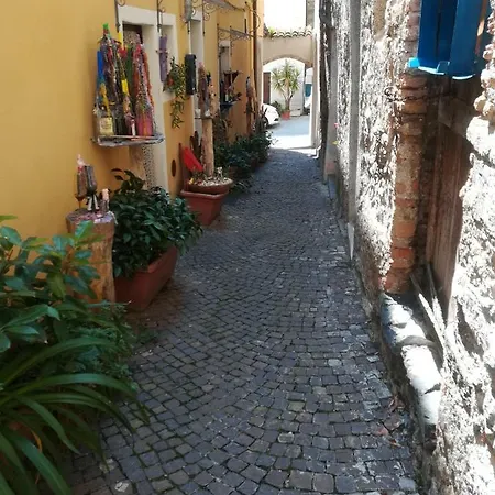 Ulivo Apartment Zuccarello
